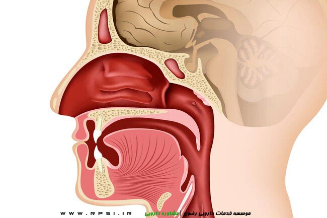 عفونت قسمت فوقانی سیستم تنفسی