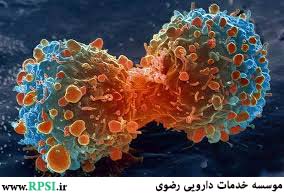 ویروس 