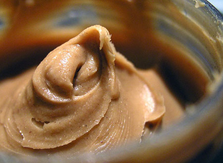 تغذیه