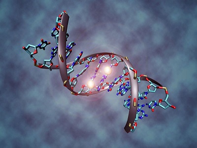 تولید داروهای جدید با فعال کردن خوشه های ژنی خاموش