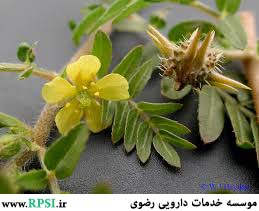 عارضه خاصی ذکر نشده است