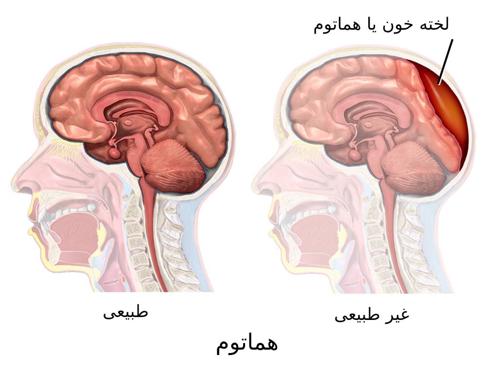 مقالات