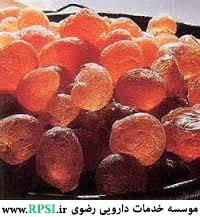 التغذیه