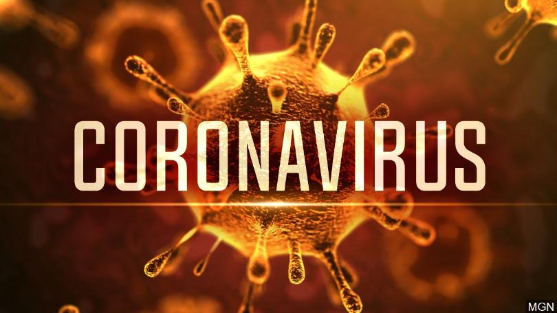 آنچه در مورد کرونا ویروس ها باید بدانید