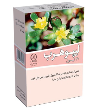 لیپوهرب