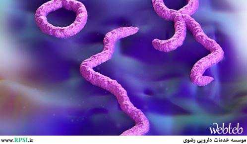 فیروس