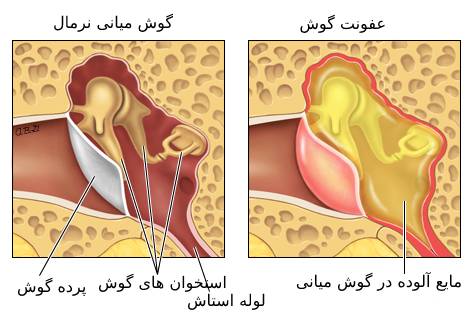 مقالات