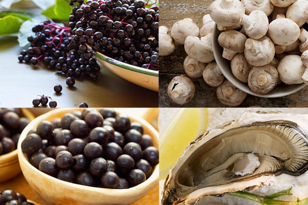 16 Foods That Boost Your Immune System