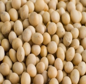 Soy bean extract