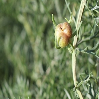 کمک به درمان افسردگی