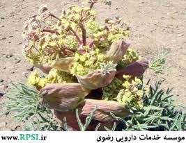 عارضه خاصی ذکر نشده است