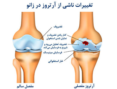 مقالات