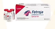 Cefiderocol