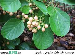 درمان التهاب گلو و رفع گرفتگی صدا