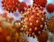 How COVID-19 Affects Your Body