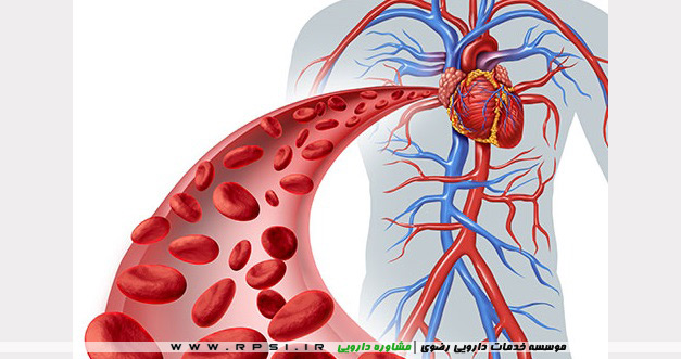 How to Improve Your Circulation