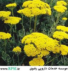 عارضه خاصی ذکر نشده است