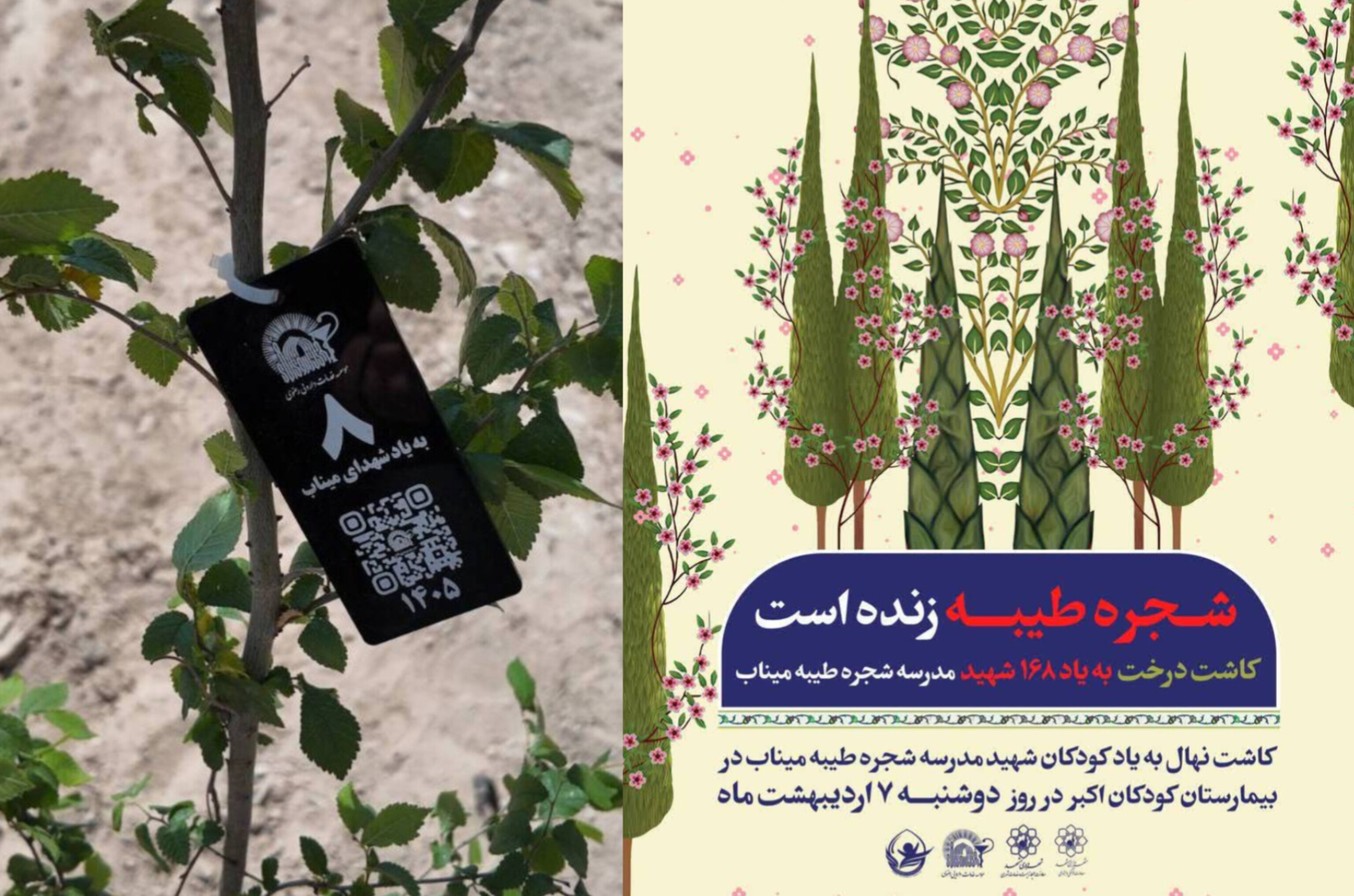 از ایثار تا رویش؛ کاشت ۱۶۸ اصله نهال توسط مؤسسه خدمات دارویی رضوی به یاد شهدای میناب