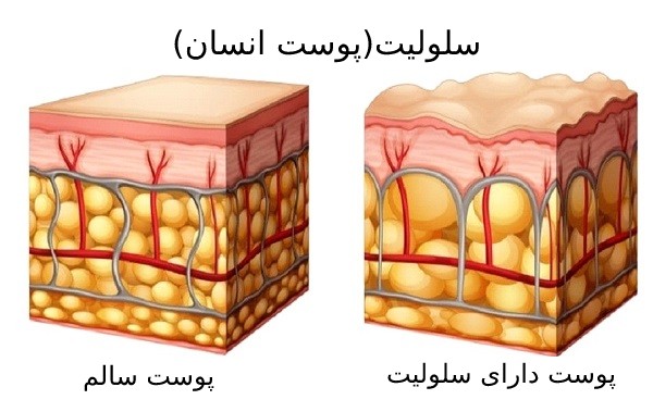 مقالات