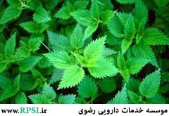 گزنه